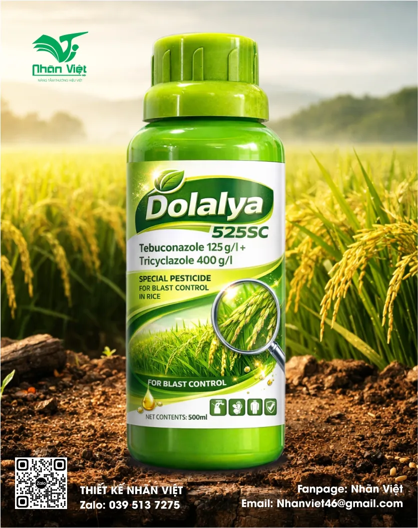 Nhãn mác & Bao bì